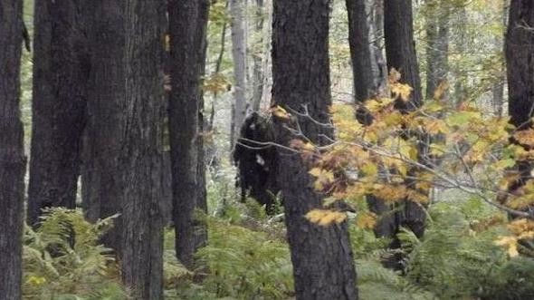 Kocaayak efsanesi gerçek mi? 17