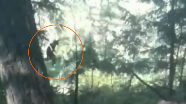 Kocaayak efsanesi gerçek mi? 18