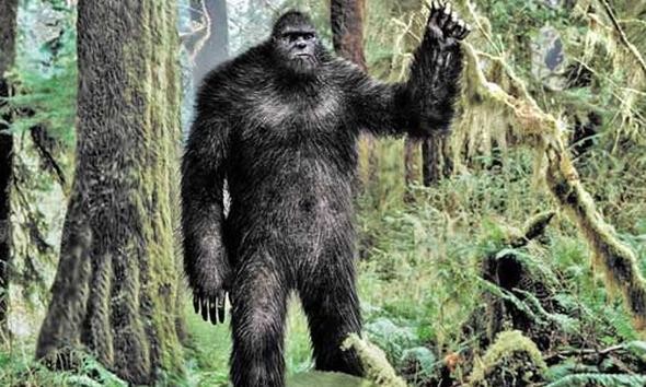 Kocaayak efsanesi gerçek mi? 3