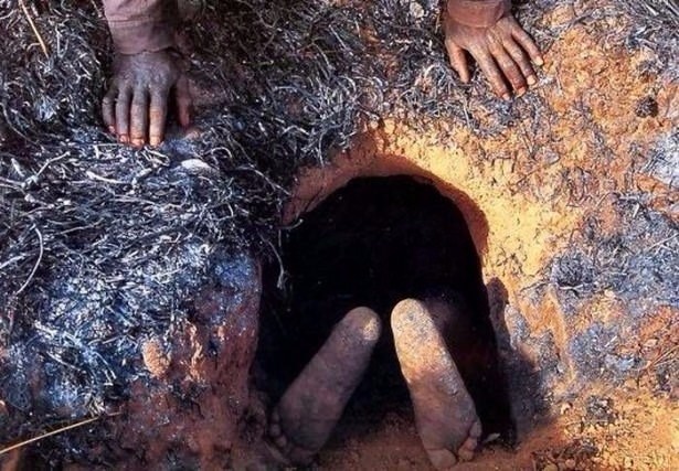 Timsahı denedi olmadı... 24