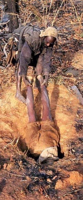 Timsahı denedi olmadı... 29