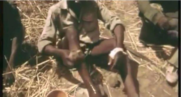 Timsahı denedi olmadı... 32