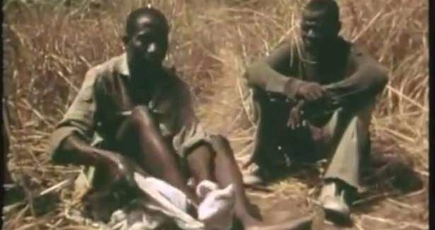 Timsahı denedi olmadı... 33