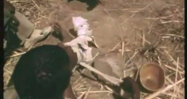 Timsahı denedi olmadı... 34