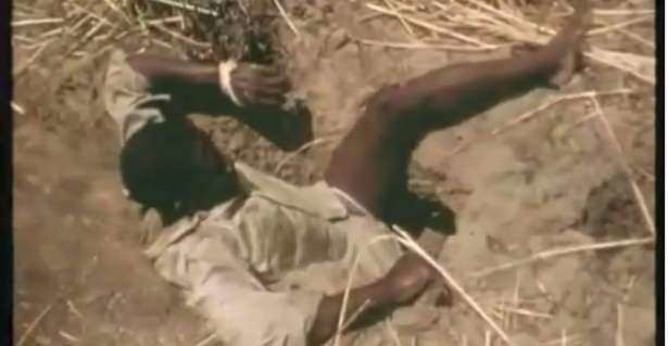 Timsahı denedi olmadı... 35