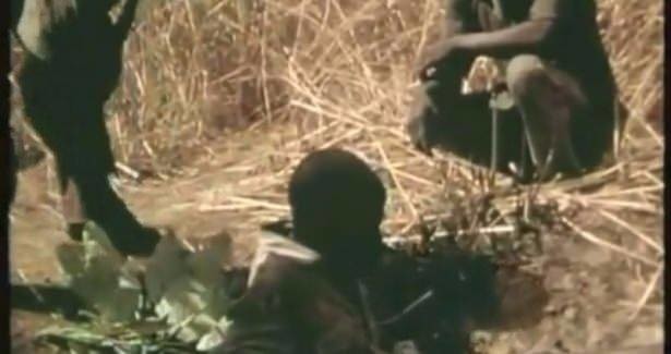 Timsahı denedi olmadı... 36