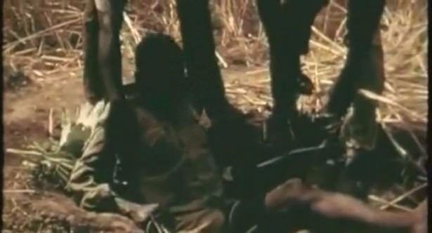 Timsahı denedi olmadı... 37