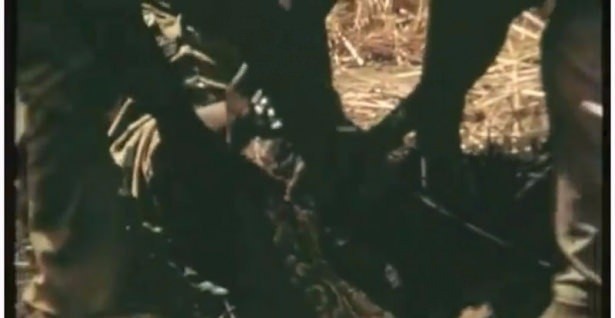 Timsahı denedi olmadı... 39