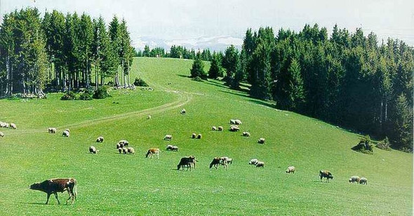 Şehir isimleri nereden geliyor? İşte sizin memleketin hikâyesi... 18