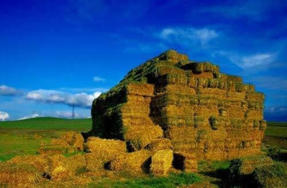 Şehir isimleri nereden geliyor? İşte sizin memleketin hikâyesi... 38