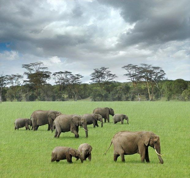 Türk vatandaşlarından vize istemeyen 113 ülke 102
