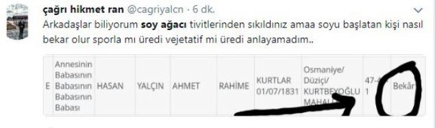 'Soy ağacı altüst' oldu, sosyal medya yıkıldı 17