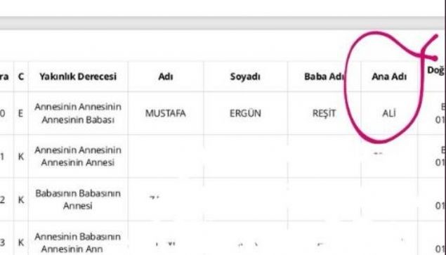 'Soy ağacı altüst' oldu, sosyal medya yıkıldı 19