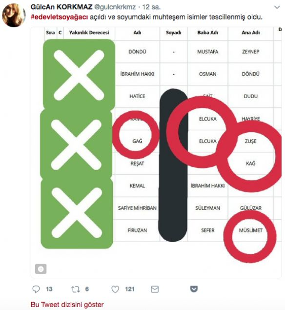 'Soy ağacı altüst' oldu, sosyal medya yıkıldı 26