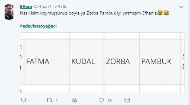 'Soy ağacı altüst' oldu, sosyal medya yıkıldı 8