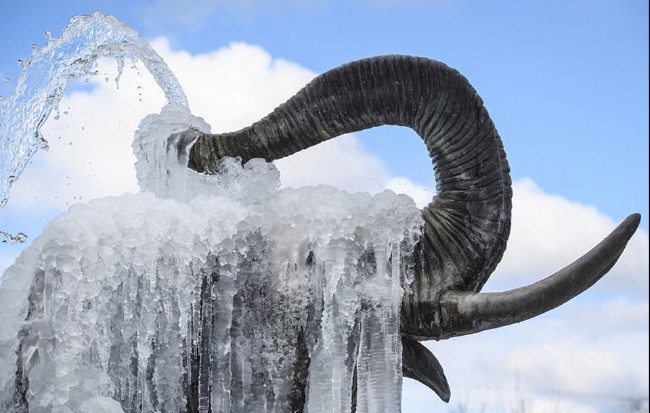 Kuzey Kutbu'nda sıcaklık 25 derece yükseldi, Avrupa dondu 14