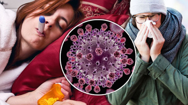 Korkutan salgın ilerliyor: 300 milyon kişi ölebilir 4