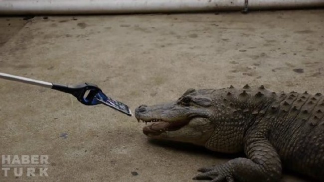 Telefonlara yapılan sıra dışı testler 86