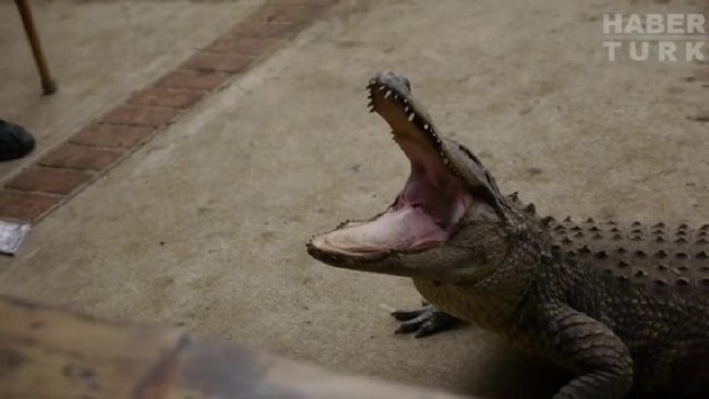 Telefonlara yapılan sıra dışı testler 87