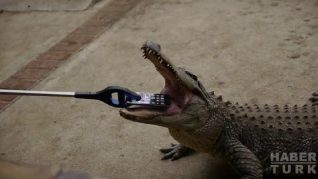 Telefonlara yapılan sıra dışı testler 88