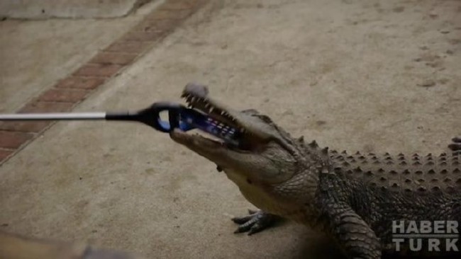 Telefonlara yapılan sıra dışı testler 89