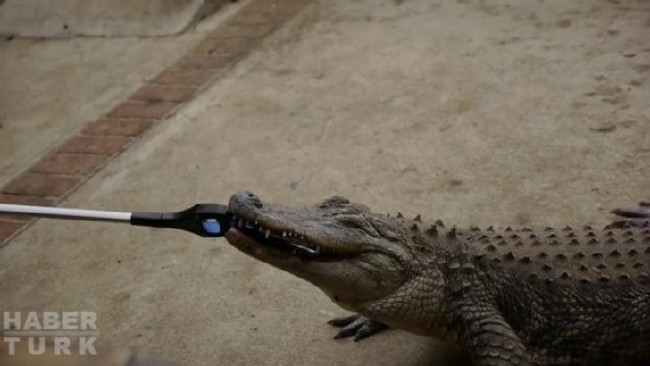 Telefonlara yapılan sıra dışı testler 90