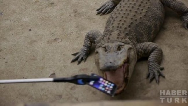 Telefonlara yapılan sıra dışı testler 91