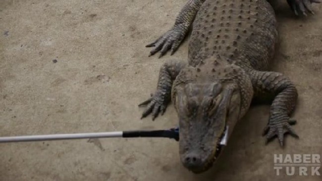 Telefonlara yapılan sıra dışı testler 92