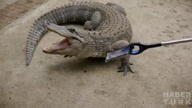 Telefonlara yapılan sıra dışı testler 95