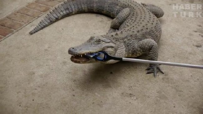 Telefonlara yapılan sıra dışı testler 96