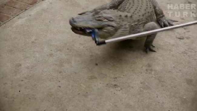 Telefonlara yapılan sıra dışı testler 98