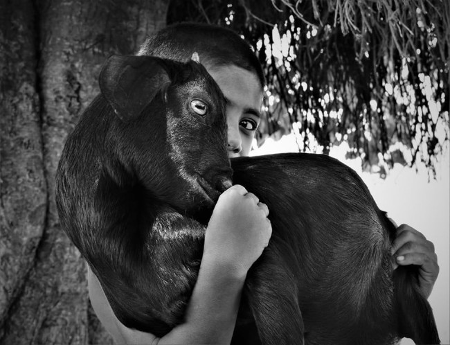 2018 Sony Dünya Fotoğraf Yarışması’nın kazananları 4