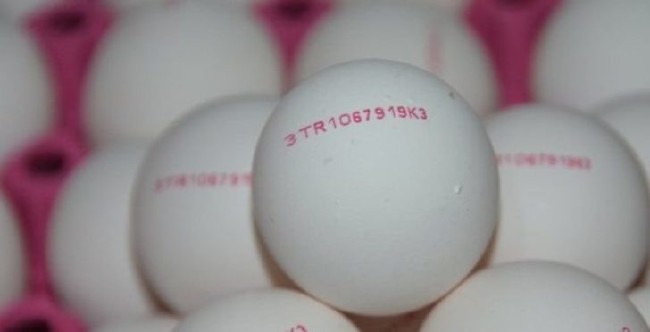 Yumurtanın kodu 3 ile başlıyorsa almayın 1