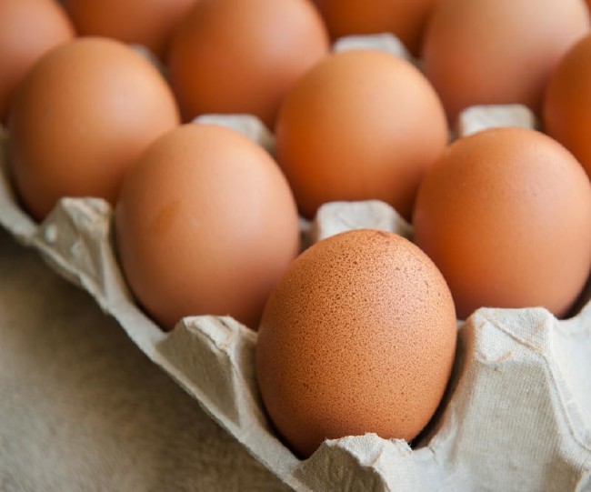 Yumurtanın kodu 3 ile başlıyorsa almayın 11