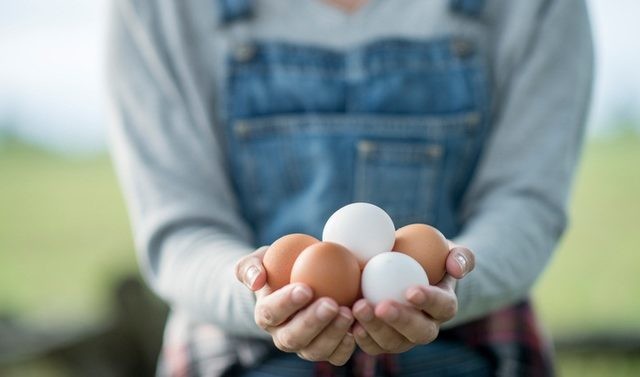 Yumurtanın kodu 3 ile başlıyorsa almayın 5