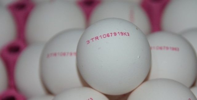 Yumurtanın kodu 3 ile başlıyorsa almayın 6