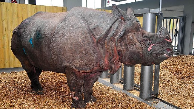 İstanbul'da çocuklarla gidilebilecek en güzel yerler 2