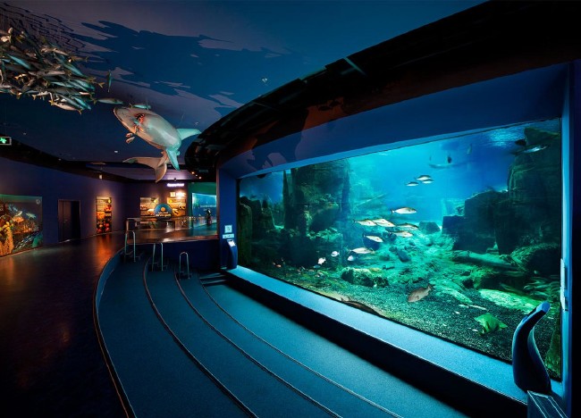 İstanbul'da çocuklarla gidilebilecek en güzel yerler 9