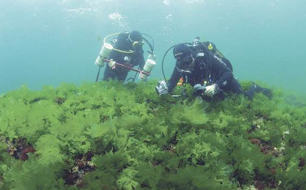 İstanbul'un gizemli adası 11