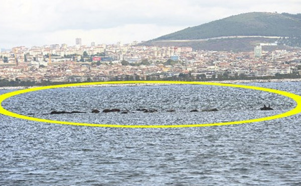 İstanbul'un gizemli adası 13