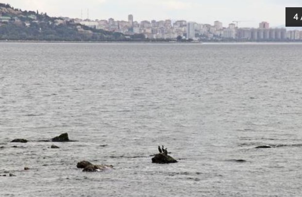İstanbul'un gizemli adası 15