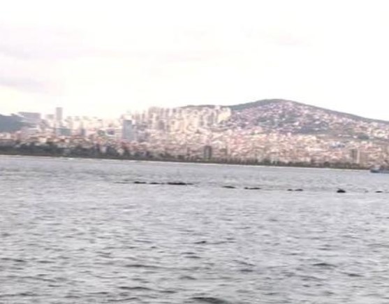 İstanbul'un gizemli adası 18