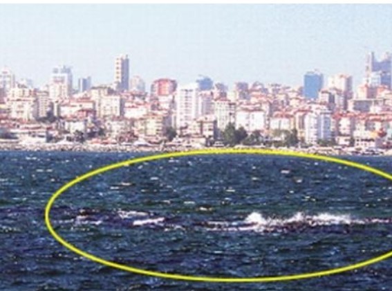 İstanbul'un gizemli adası 22