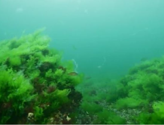 İstanbul'un gizemli adası 25