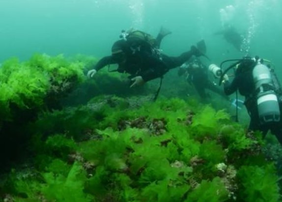 İstanbul'un gizemli adası 26