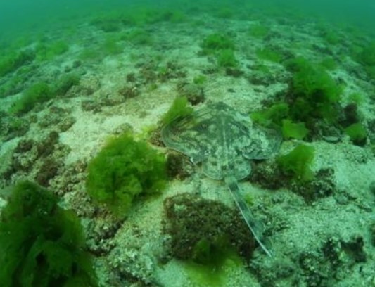 İstanbul'un gizemli adası 28