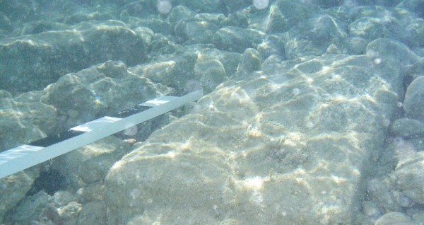 İstanbul'un gizemli adası 8