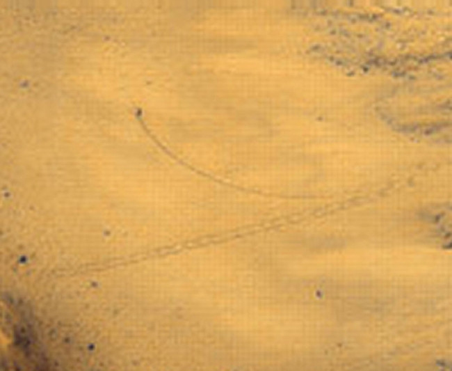 Mars ve Ay'da ilginç görüntüler 12