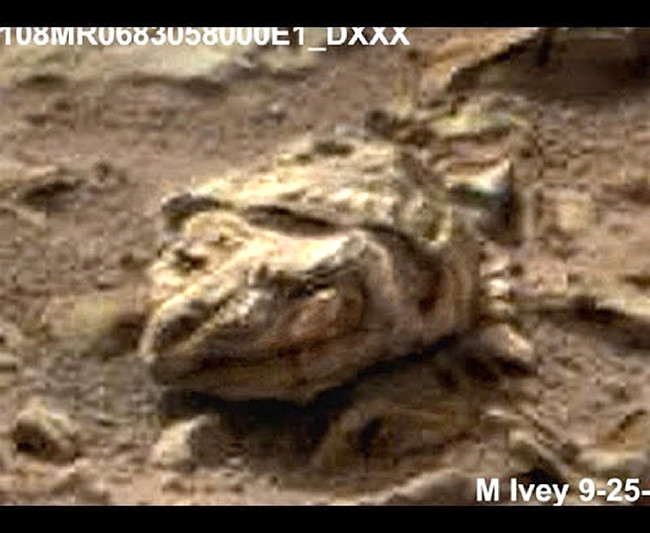 Mars ve Ay'da ilginç görüntüler 11