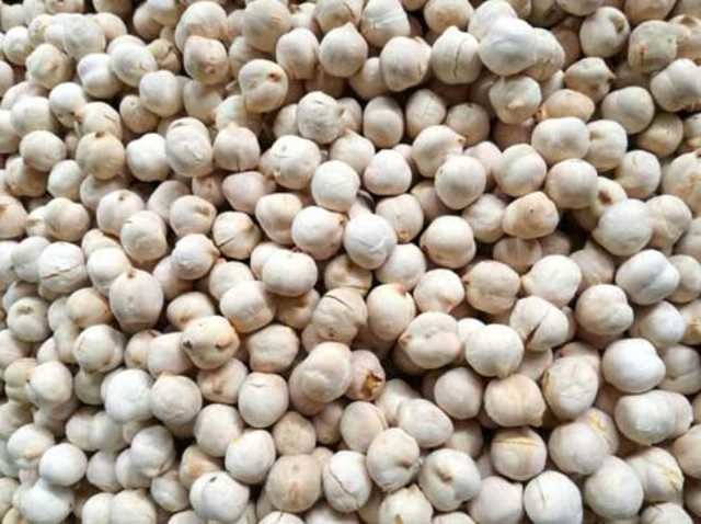 İbn-i Sina'nın 1000 yıl önce hazırladığı reçeteler 17